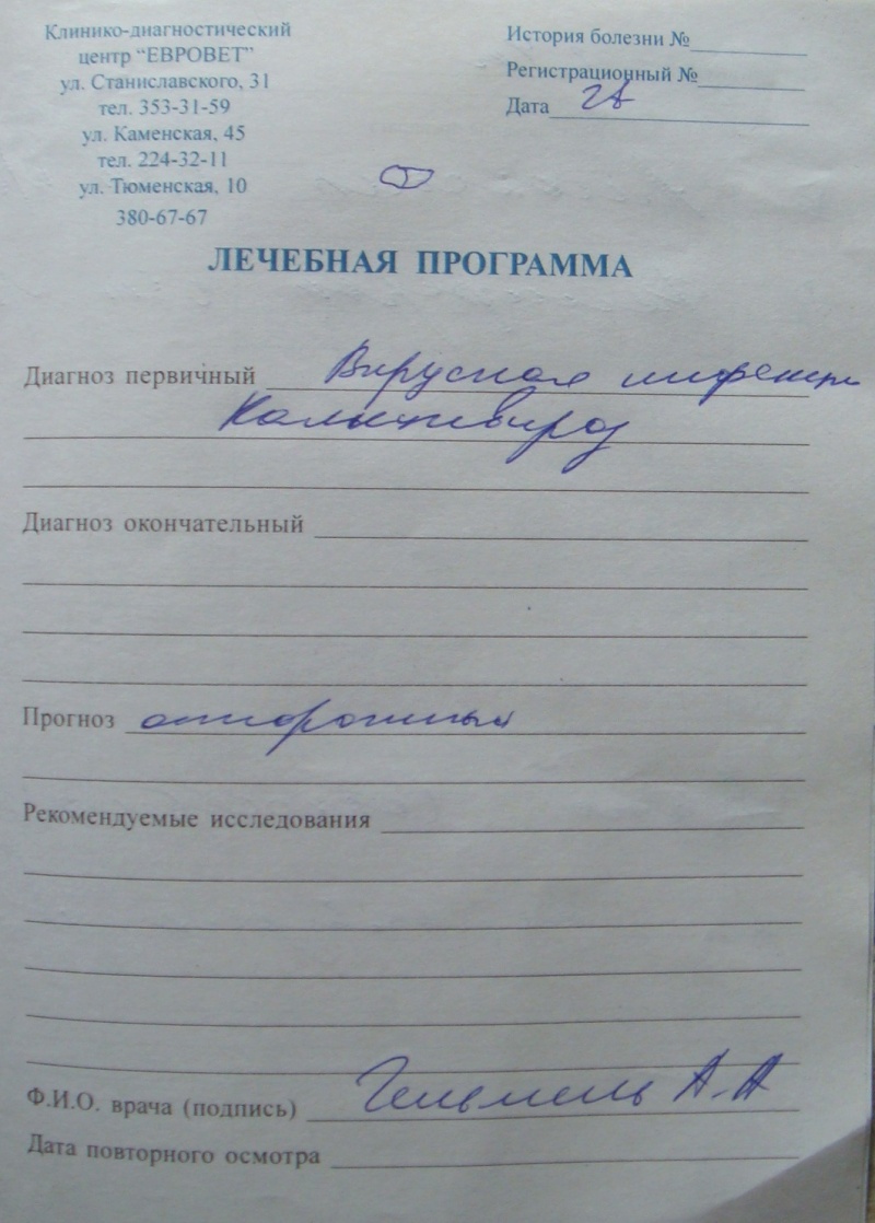 Помощь подвальным кошкам - Страница 13 - обсуждение на форуме НГС  Новосибирск