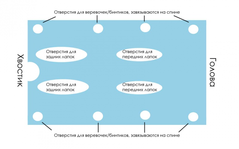 Как одевать попону на кошку после стерилизации схема