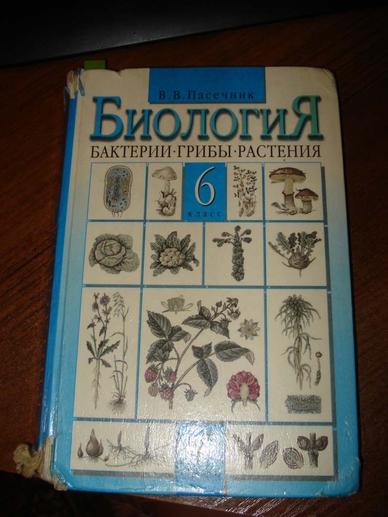 Биология учебники 6 8. Старый учебник биологии. Старые учебники по биологии. Биология 6 класс старый учебник. Старинный учебник по биологии.