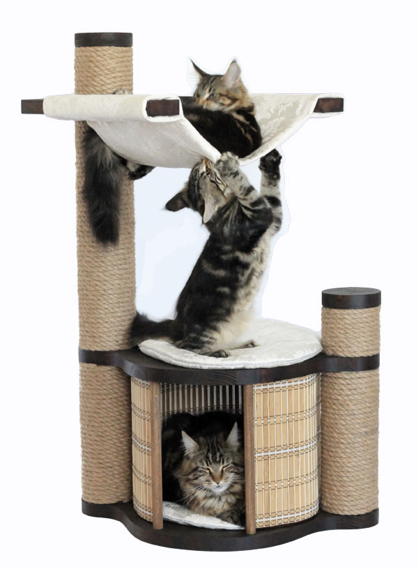 Как сделать домик для кошки своими руками?