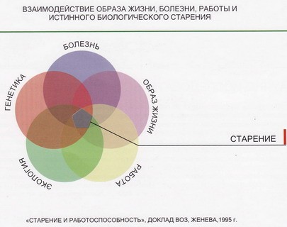 Муж постоянно говорит что я толстая — 48 ответов | форум Babyblog